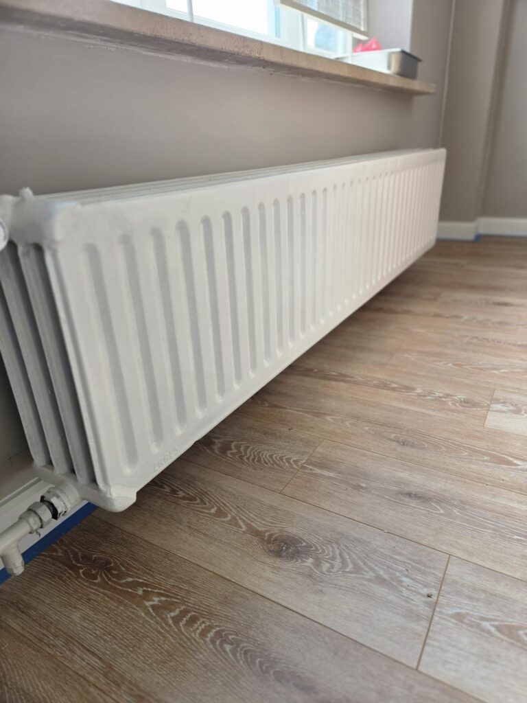 PHOTO-2026-02-01-12-02-32 7